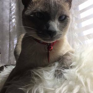 Meet your Posher, Marco